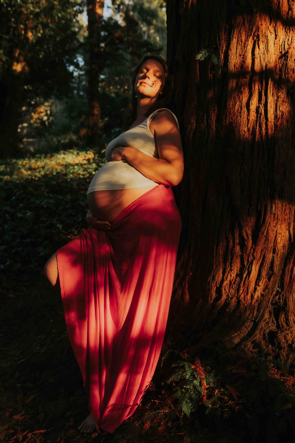 pregnant leaning against redwood